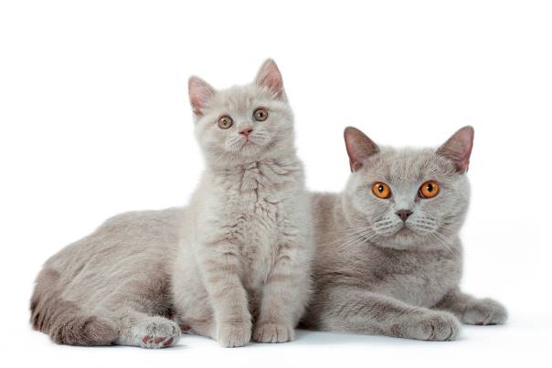 I znowu odżywianie ...