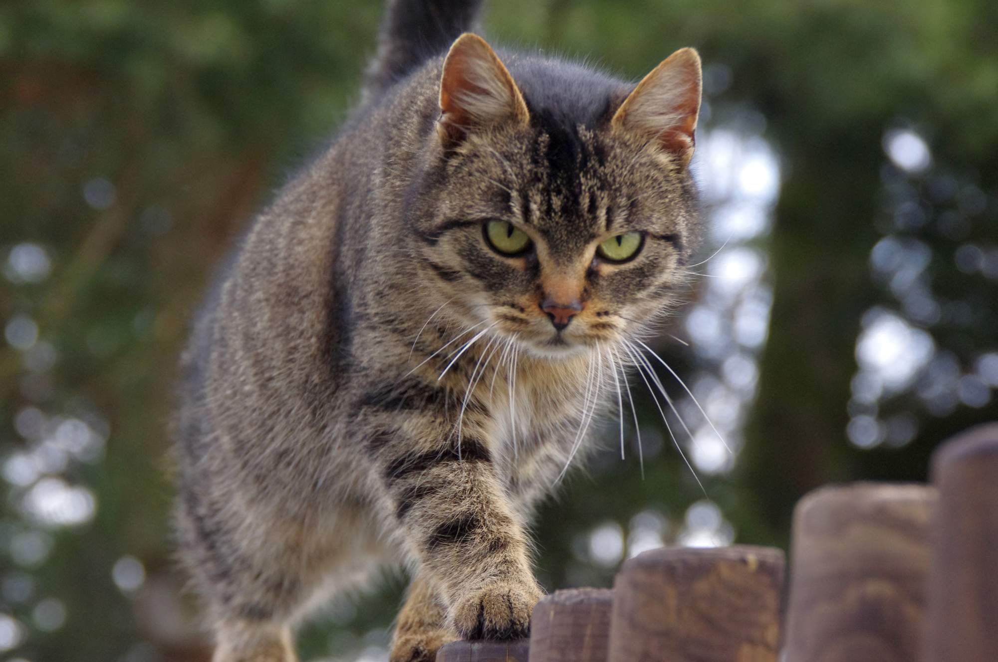 Zasady właściwej opieki stomatologicznej