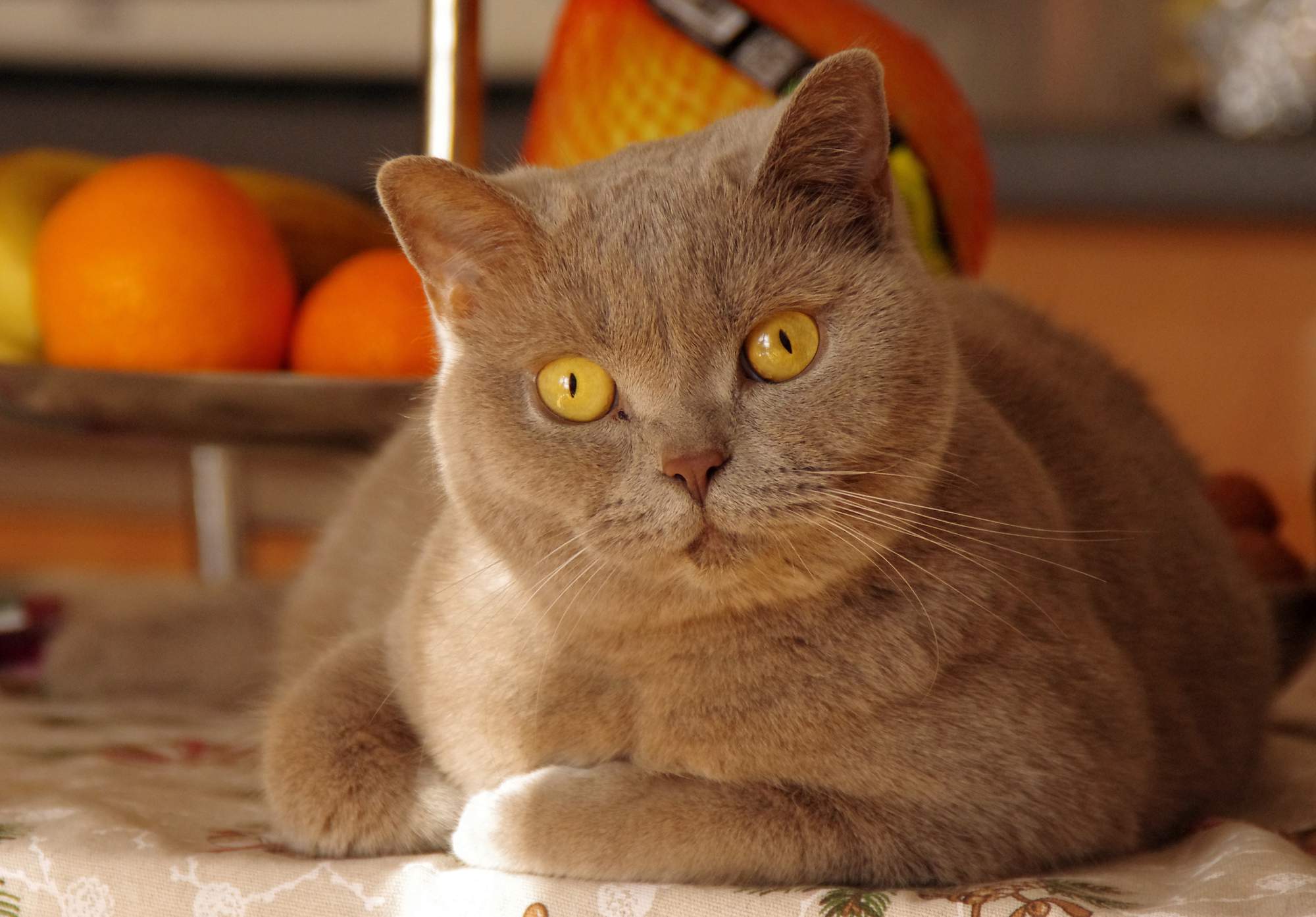 Dlaczego trzęsie się po operacji?