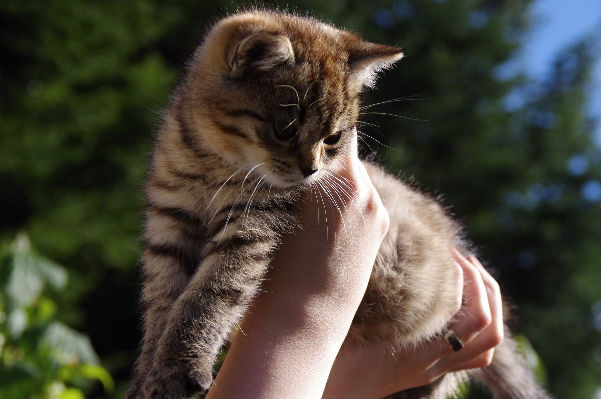 Wiosna puka do drzwi, więc chroń swojego zwierzaka przed pasożytami