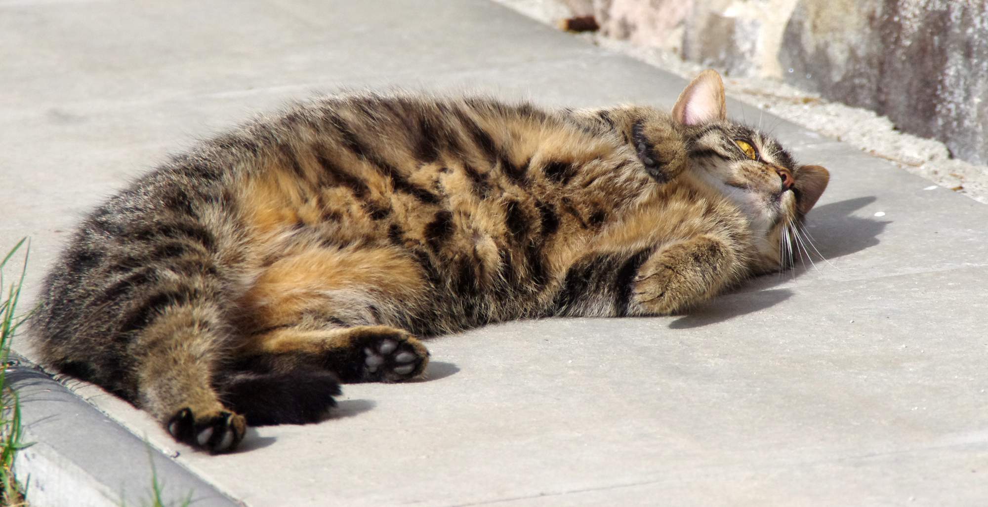 Jak najlepiej przechowywać granulki?