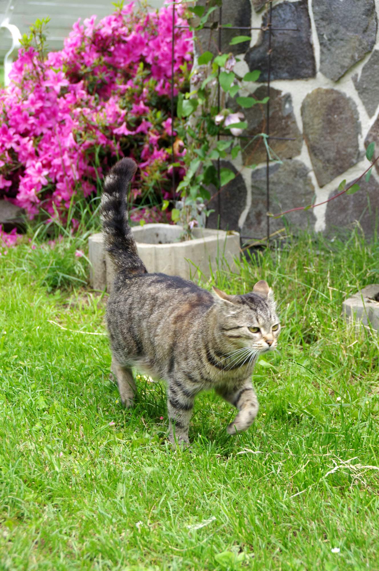 Co zorganizować przed wyjazdem za granicę?