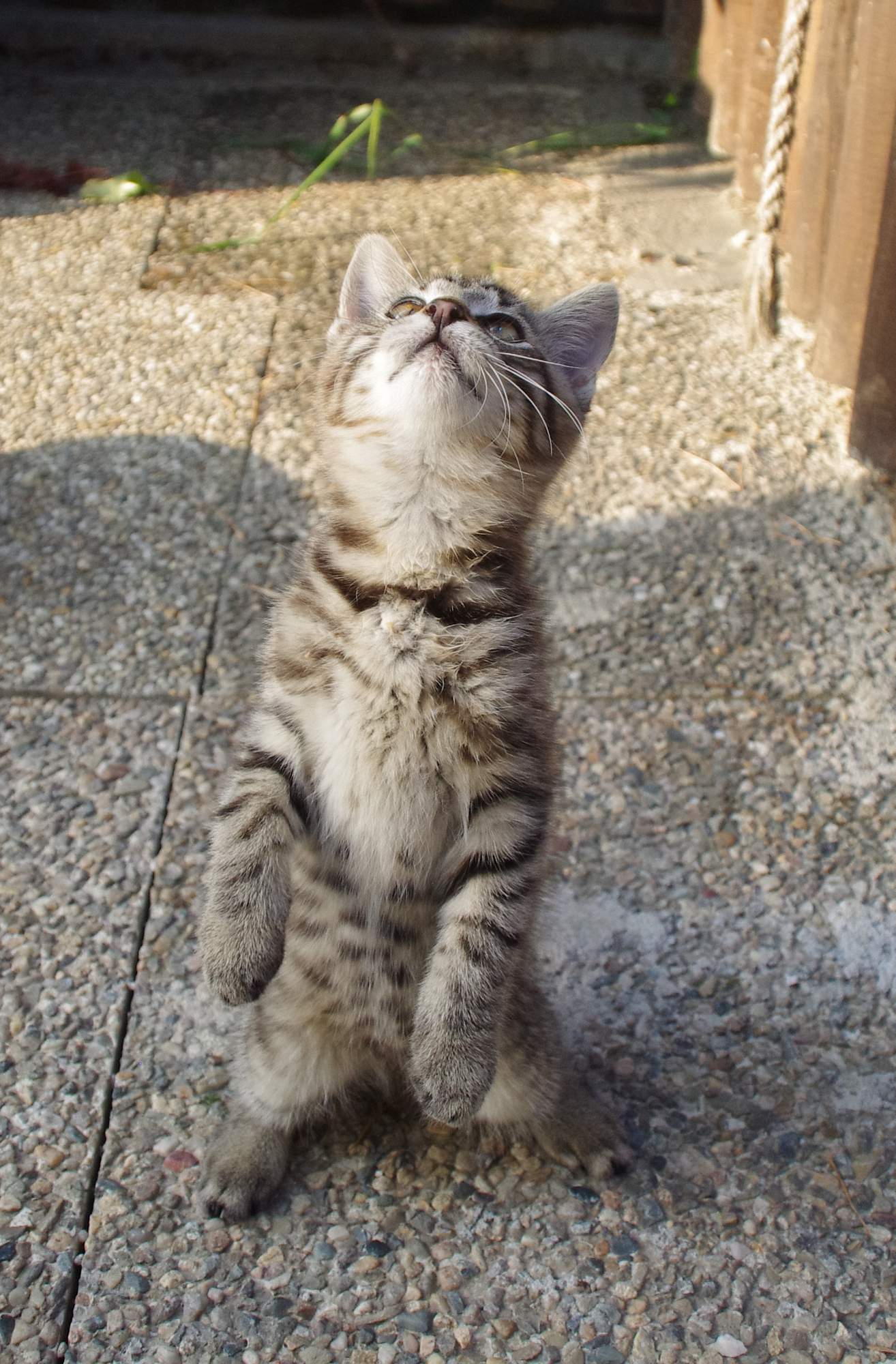 Szkolenie za pomocą pilota