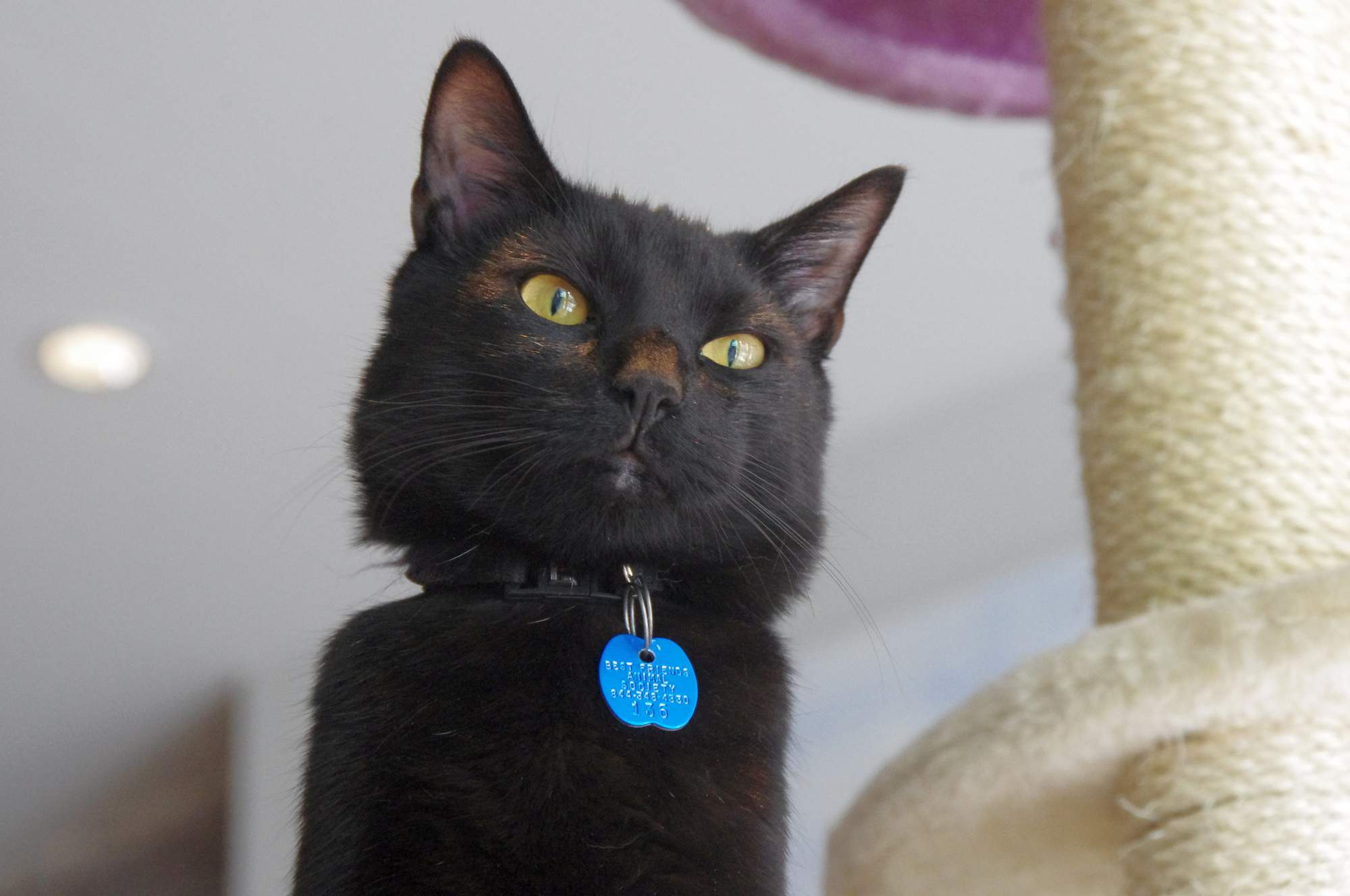 Stres narodzin dziecka