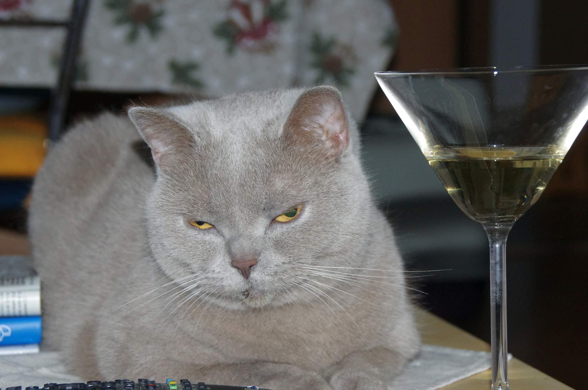 Ciche gospodarstwo domowe