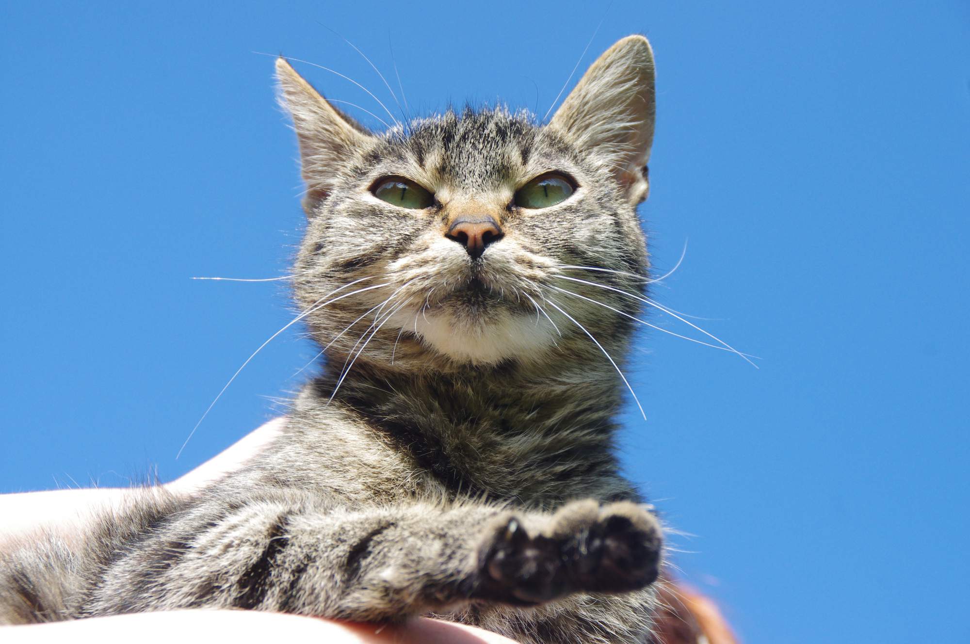 Światowy dzień wścieklizny