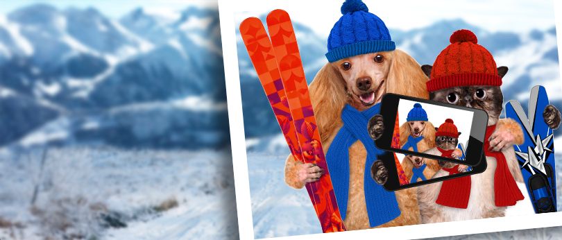 KONKURS FOTOGRAFICZNY - Kiedy twój pies lub kot jest najszczęśliwszy?