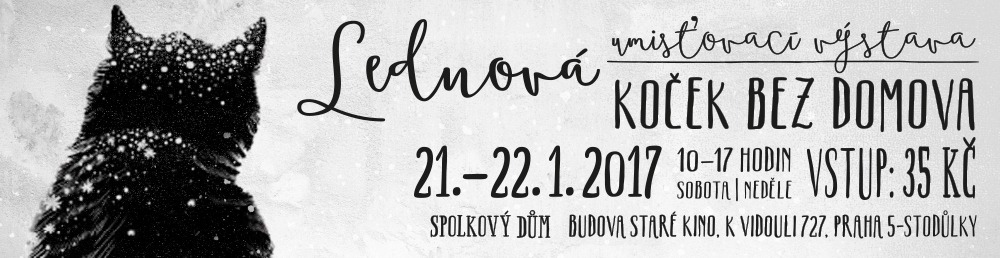 Zaproszenie: styczniowa wystawa bezdomnych kotów