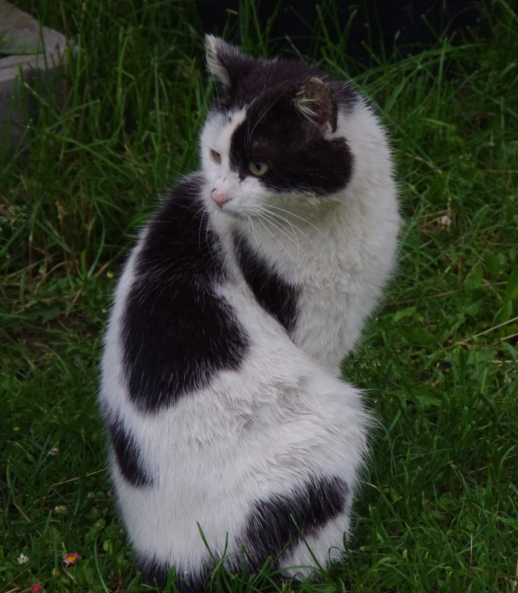 Zaproszenie na wystawę 22 kwietnia w Pradze