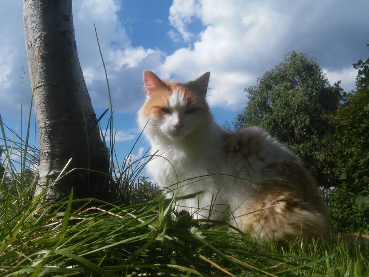 Nowy konkurs fotograficzny na ten temat: Wszędzie dobrze, najlepiej na zewnątrz!