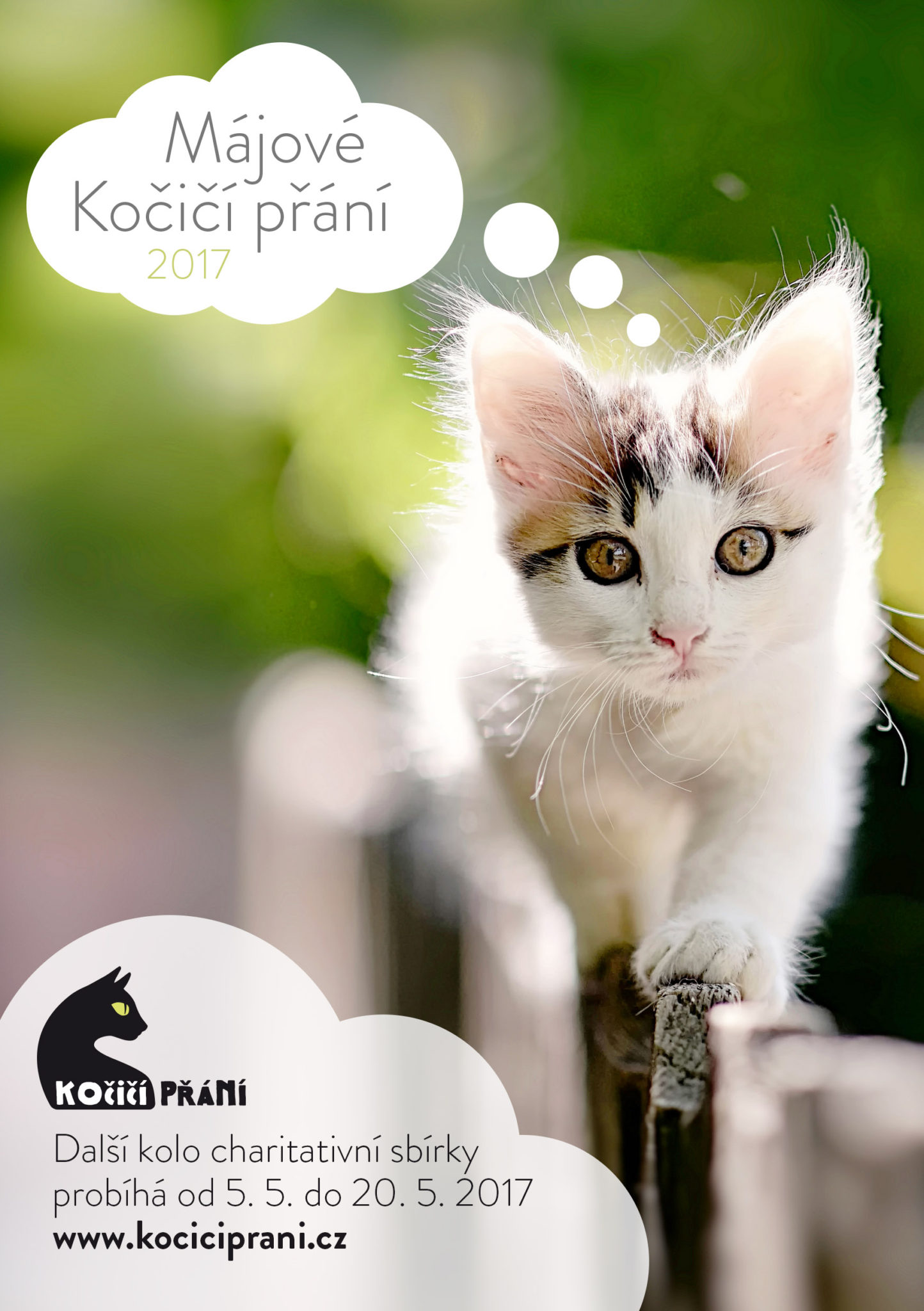 Dzisiaj rozpoczęła się kolejna runda popularnych charytatywnych życzeń kota