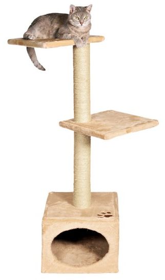 Drapak jest koniecznością dla kotów