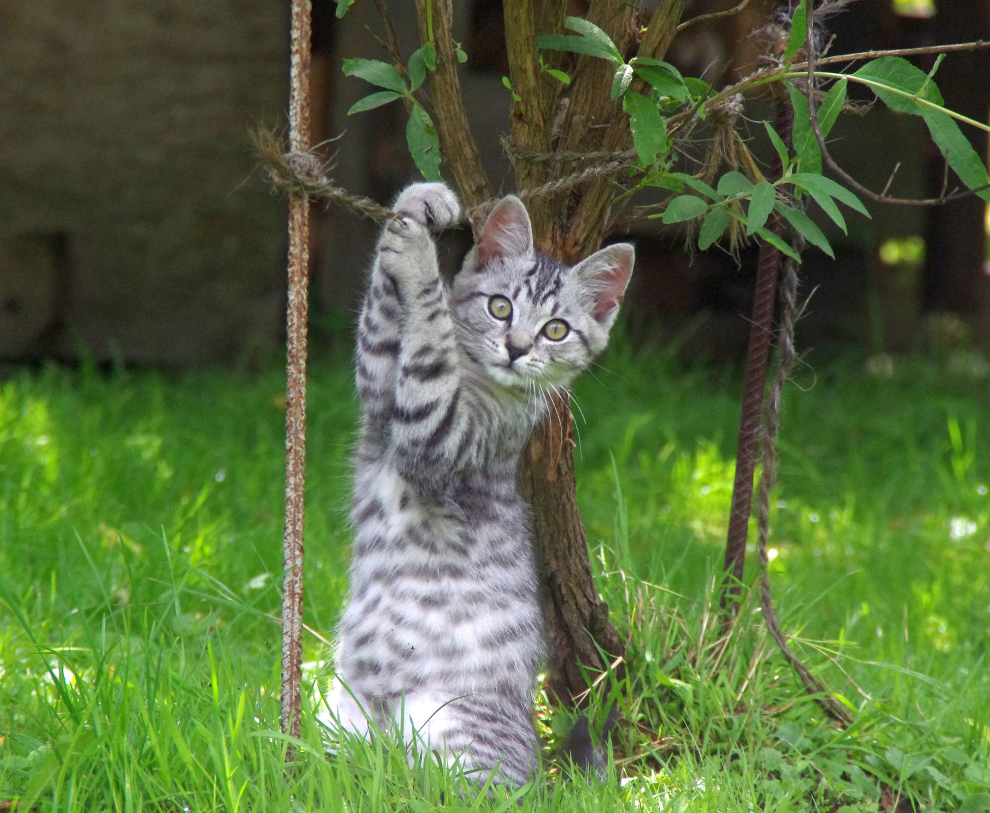 Na zewnątrz czy w domu?
