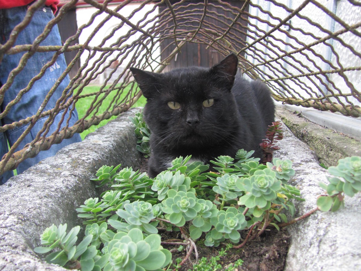 Wszędzie dobrze, najlepiej na zewnątrz!