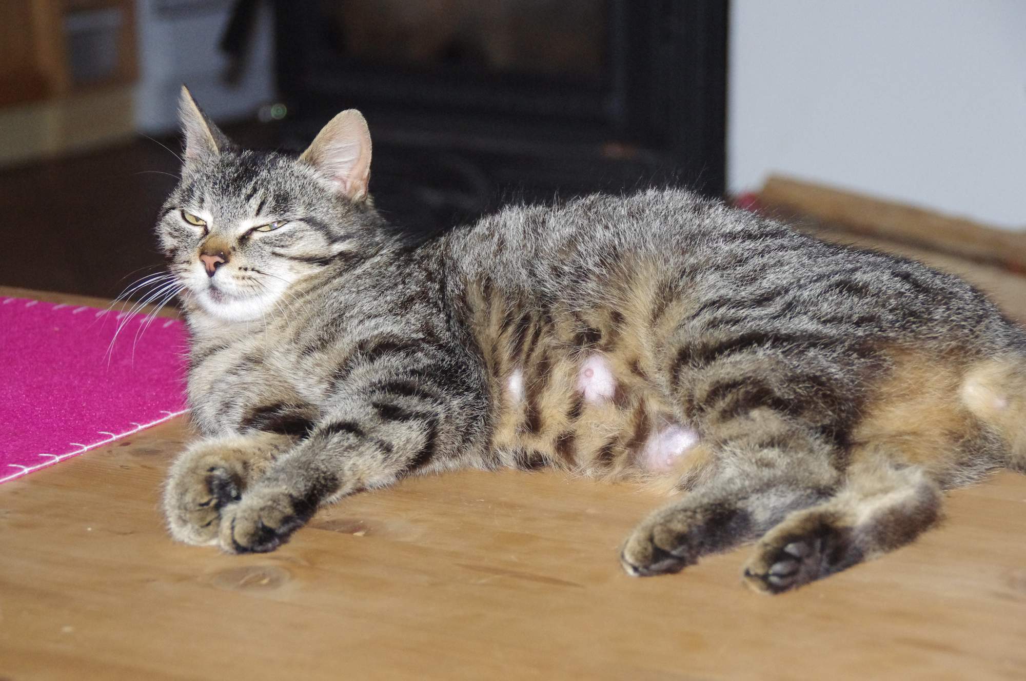 Objawy zbliżającej się porodu