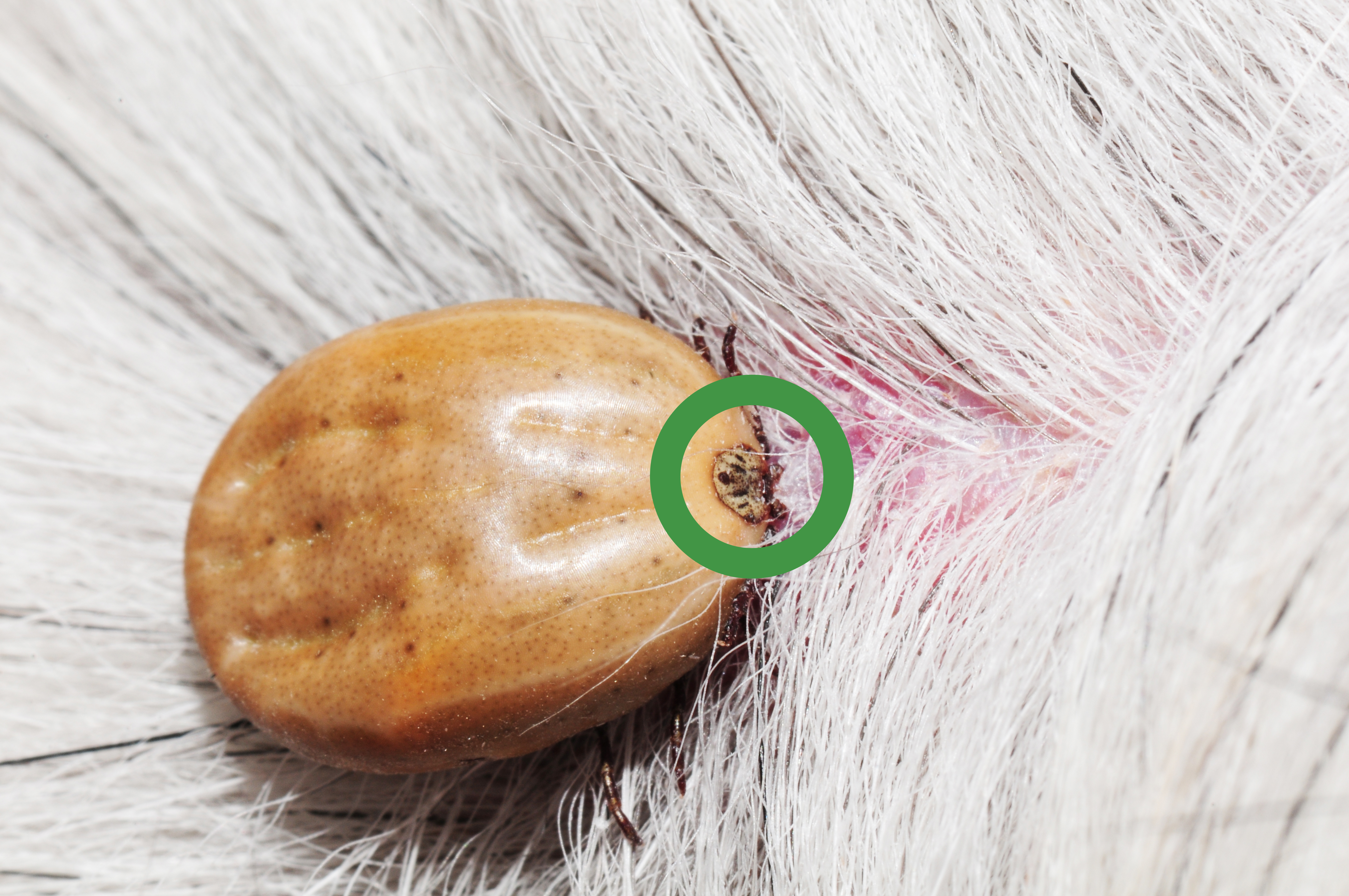 Dołącz do projektu Find a Drinker