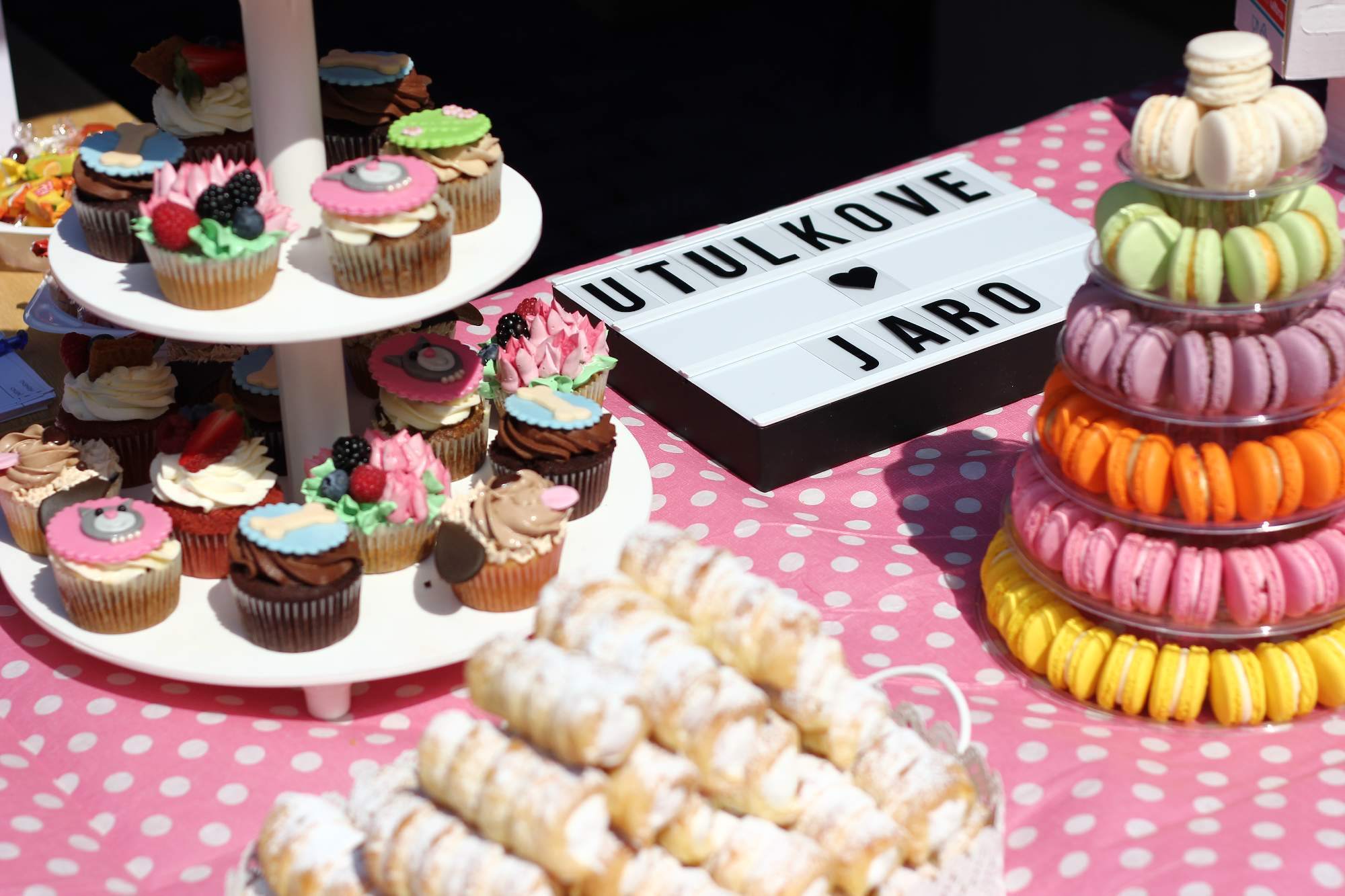 Przyjdź z Silent Face, aby powitać wiosnę w schronisku dla zwierząt Zlín-Vršava