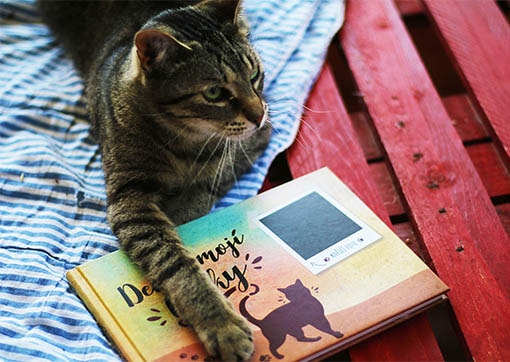 Wskazówka dla wszystkich miłośników kotów: Stwórz stylowy pamiętnik dla swojego zwierzaka