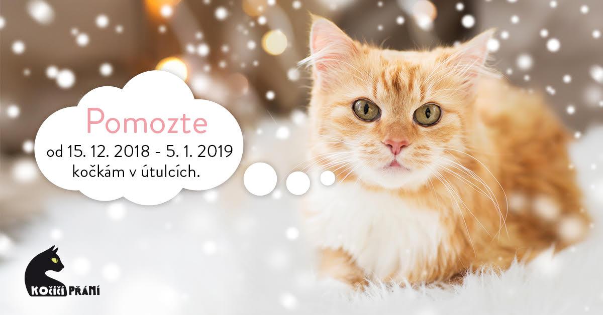 Karta z pozdrowieniami dla kota 2018