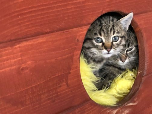 Wydajność schroniska Broumov