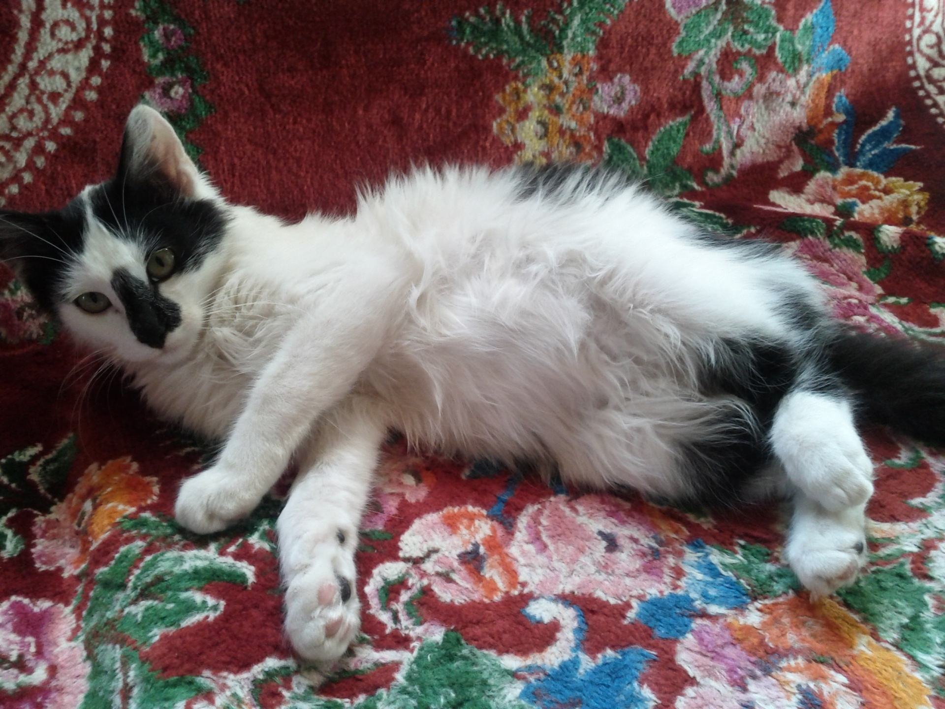 Proszę nie dotykaj mojego brzucha