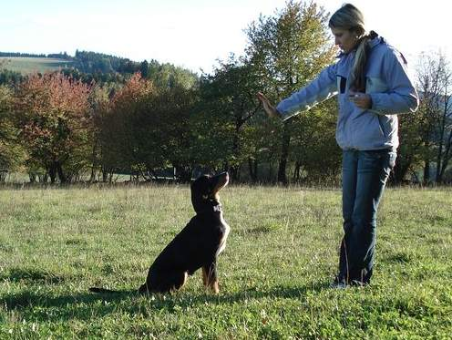 Podstawowe polecenia