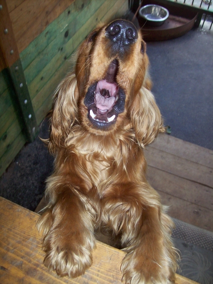 Strach przed samotnością