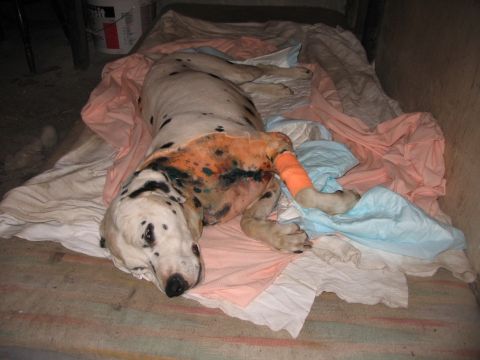 Najczęstsze urazy i ich leczenie