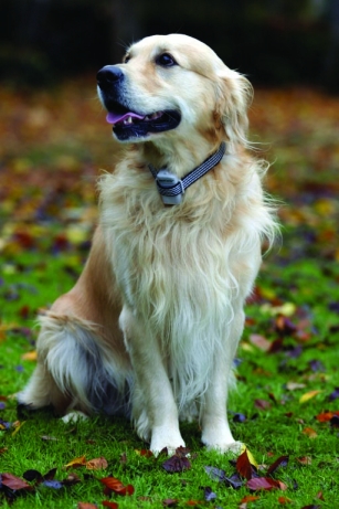 Kołnierze natryskowe - Bezbolesne, ale mocne