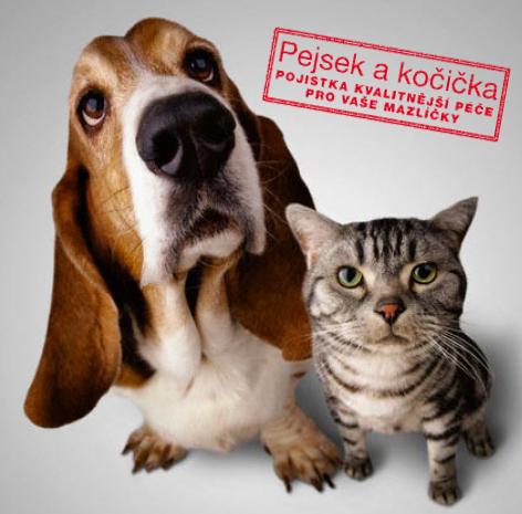 Historia szczeniaka o imieniu Max