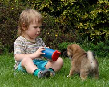 Dziecko i pies