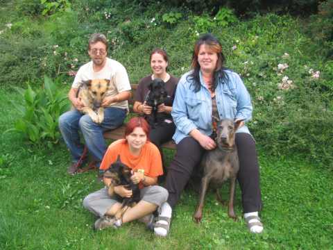 Wywiad z Eveline Jahelkovą, kierownikiem schroniska dla zwierząt w Děčínie