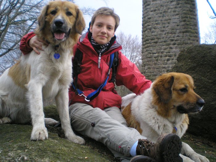 Schronienie z pierwszej ręki