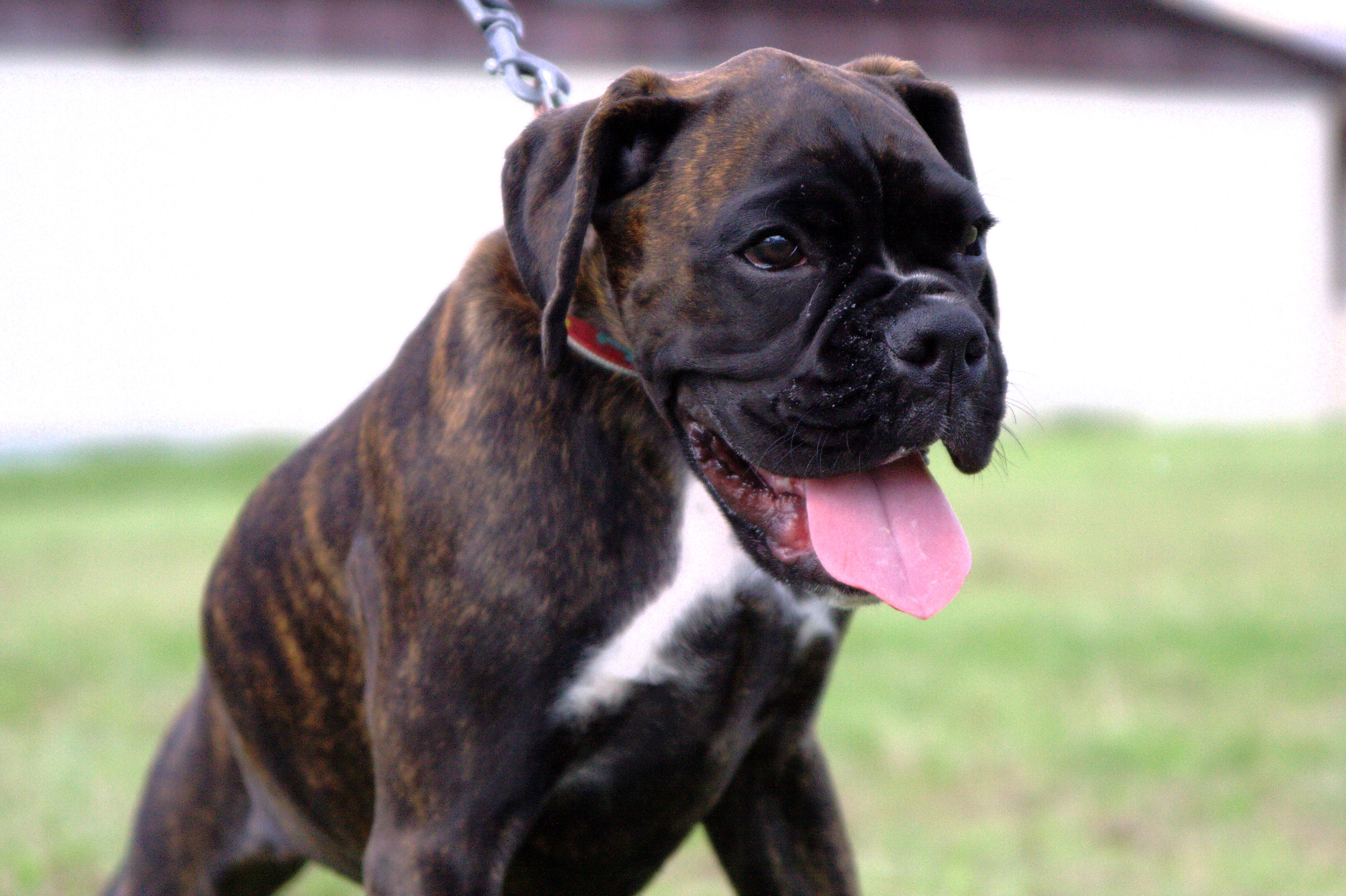 Dlaczego warto studiować drzewo genealogiczne?