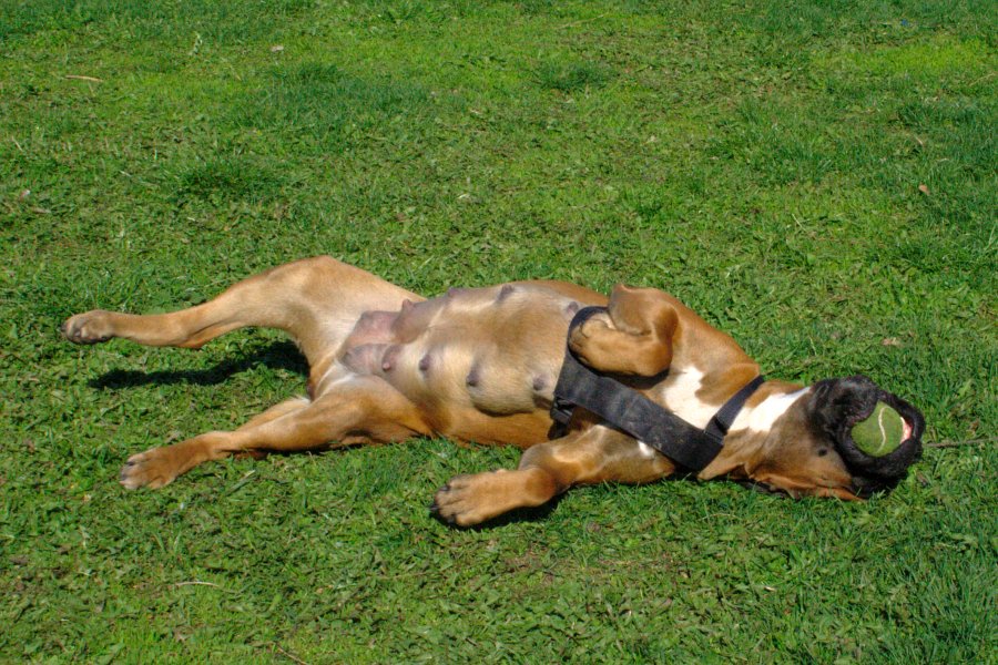 Co Cię interesuje & # 8230;