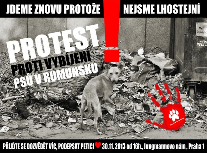 Rumuński piekło na ziemi