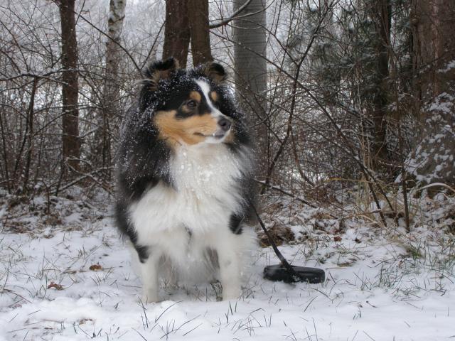 & # 8222; Stay & # 8220; dla początkujących