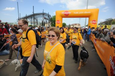 Chodź piesek Stromovka w dobrej sprawie