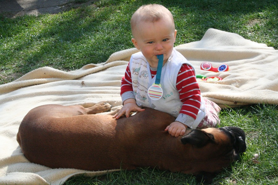 Baby jako nowy członek paczki