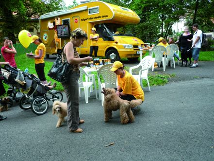W tym roku stomatolodzy psów odwiedzą 44 miasta