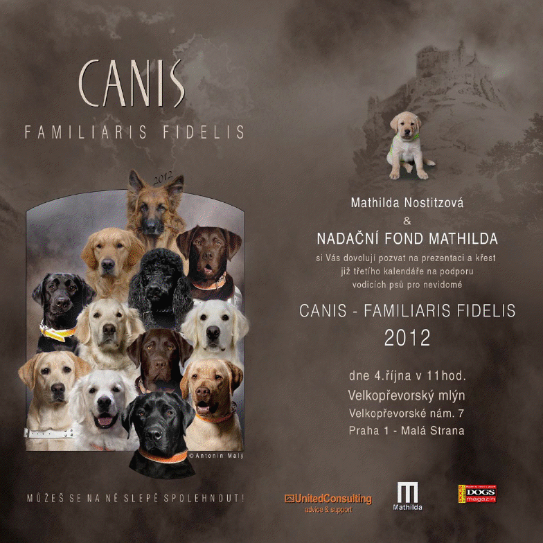 Kalendarz wspierający szkolenie psów przewodników