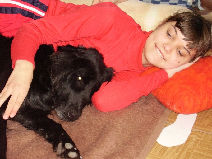 Jaki pies nadaje się do kanistoterapii?