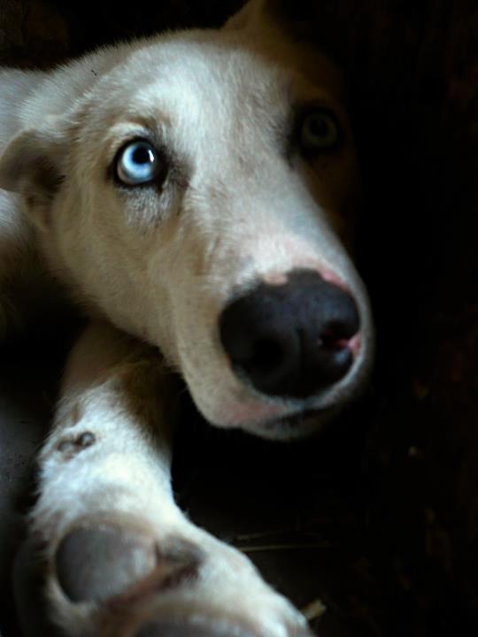 Stowarzyszenie obywatelskie Wędrujące stopy