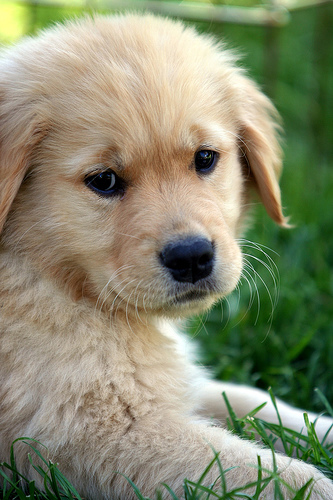 Porady dotyczące edukacji dla początkujących