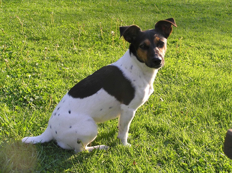 Samotność mnie przeraża!