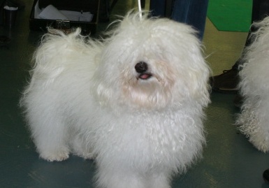 Wszystko wkurza w domu!