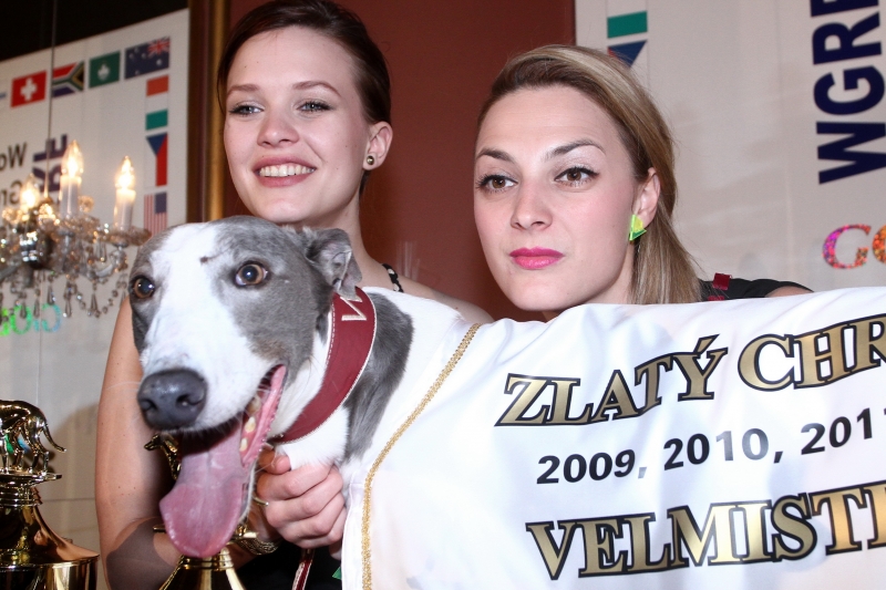 Wyścigi chartów & # 8222; ponownie w Pradze