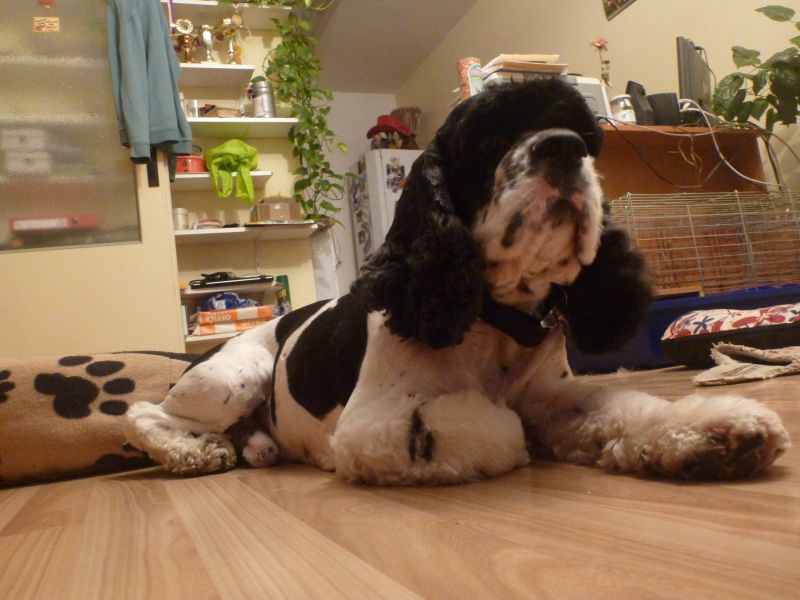 Na wakacjach w hotelu?