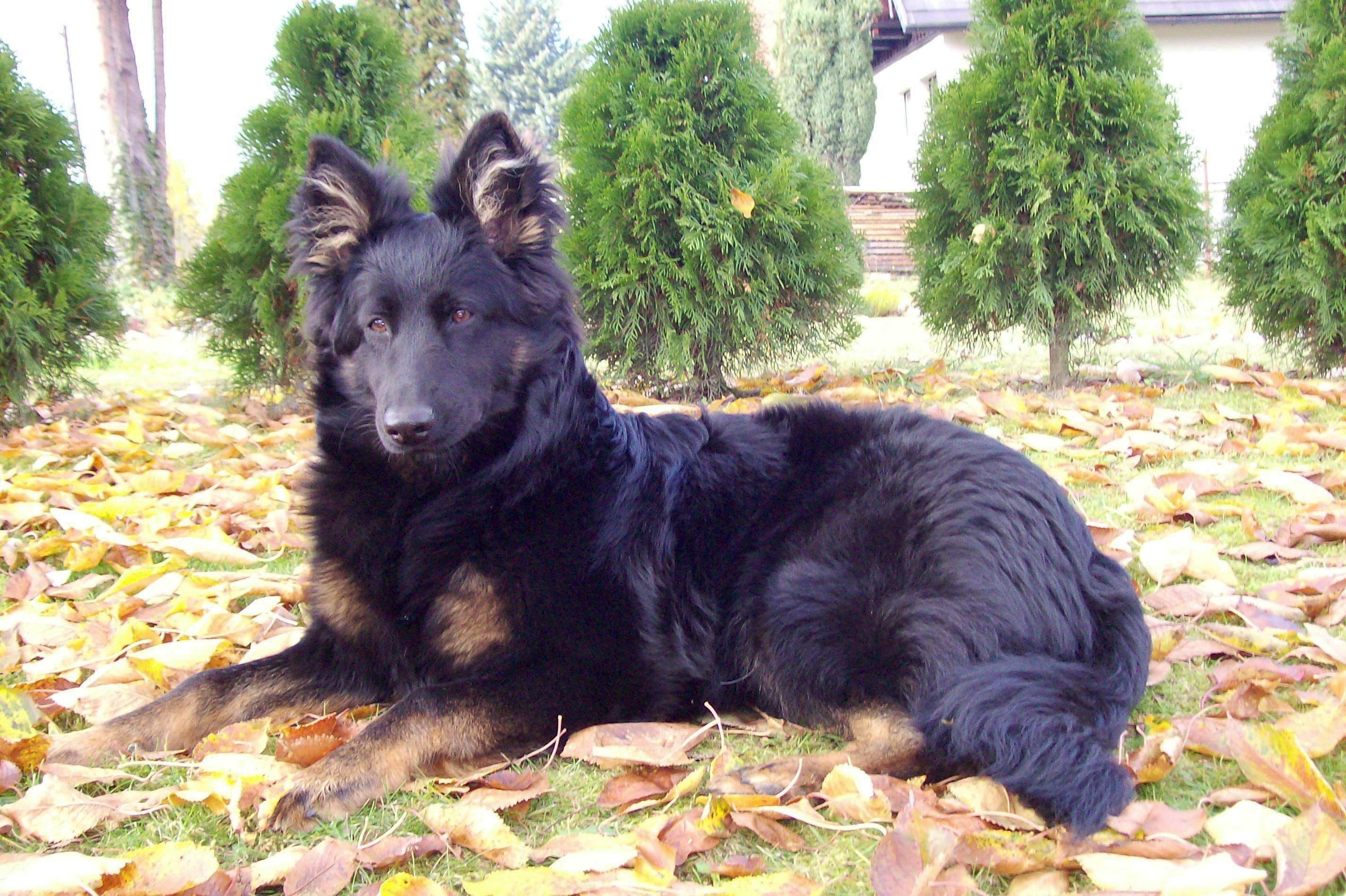 Czym jest posłuszeństwo i dla kogo?