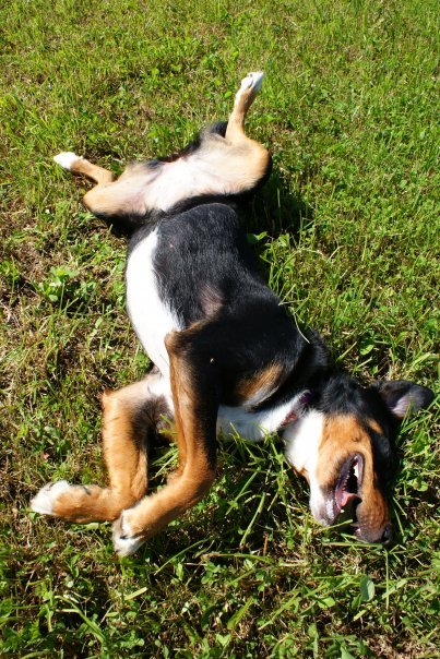 Beczki z bębnem - jak to zrobić?